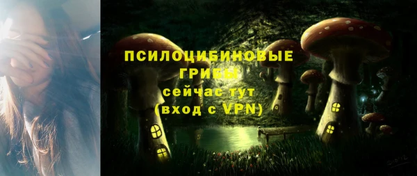 хмурый Белоозёрский