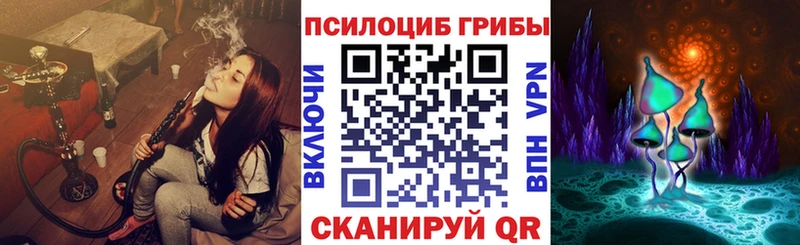 Галлюциногенные грибы Psilocybe  закладки  Шумиха 